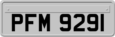 PFM9291