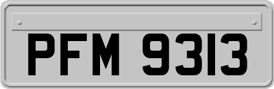 PFM9313