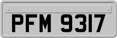 PFM9317