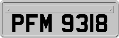PFM9318