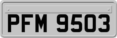 PFM9503