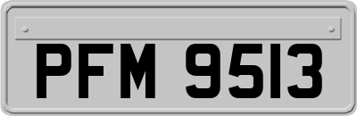 PFM9513