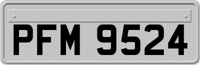 PFM9524