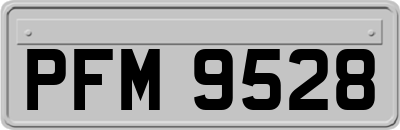 PFM9528