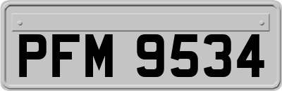 PFM9534