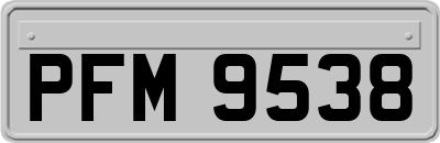 PFM9538
