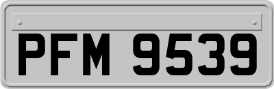 PFM9539