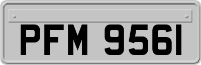 PFM9561