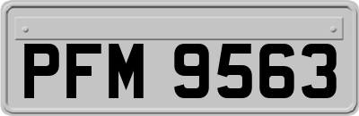 PFM9563