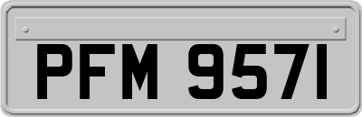 PFM9571
