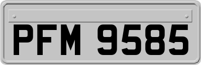 PFM9585