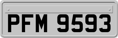 PFM9593