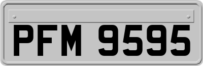 PFM9595