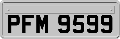 PFM9599