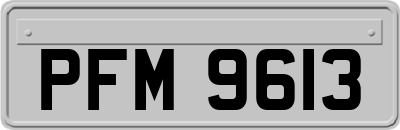 PFM9613
