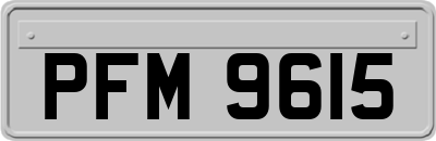 PFM9615