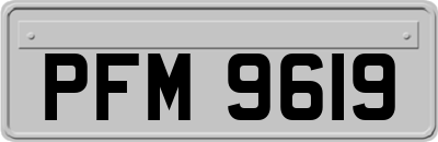 PFM9619