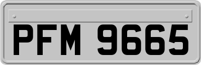 PFM9665
