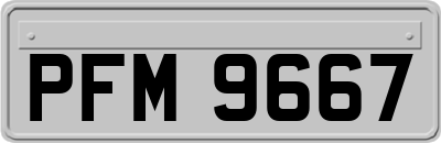 PFM9667