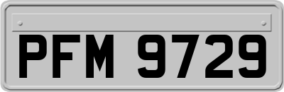 PFM9729