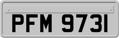 PFM9731