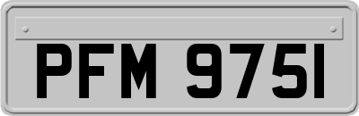 PFM9751