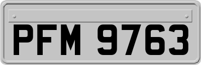 PFM9763