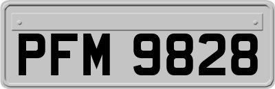 PFM9828