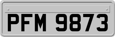 PFM9873