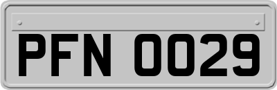 PFN0029