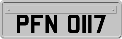 PFN0117