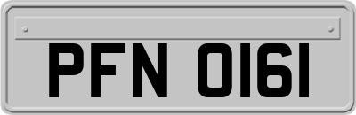 PFN0161
