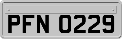 PFN0229