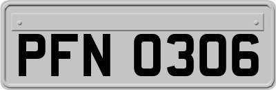 PFN0306