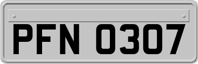 PFN0307