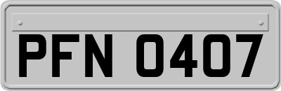 PFN0407