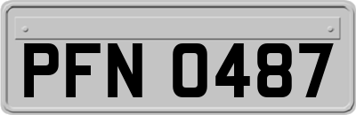 PFN0487