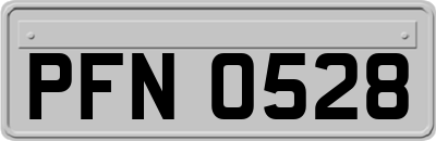 PFN0528
