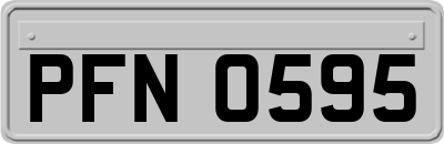 PFN0595