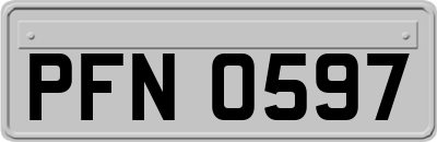 PFN0597