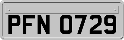 PFN0729