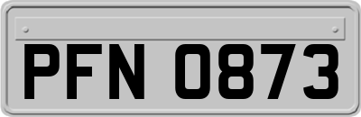 PFN0873