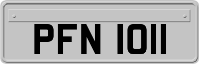 PFN1011