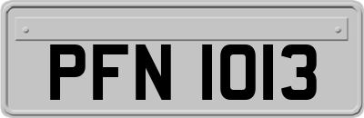 PFN1013