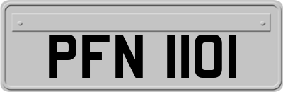 PFN1101