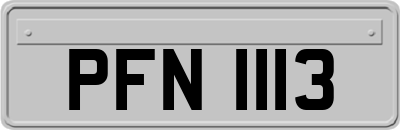 PFN1113