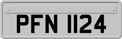 PFN1124