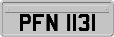 PFN1131