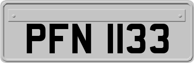 PFN1133