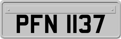 PFN1137